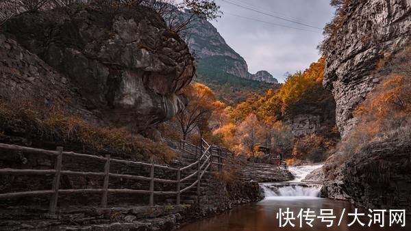 层林|河南：太行山层林尽染 游人乐享秋趣