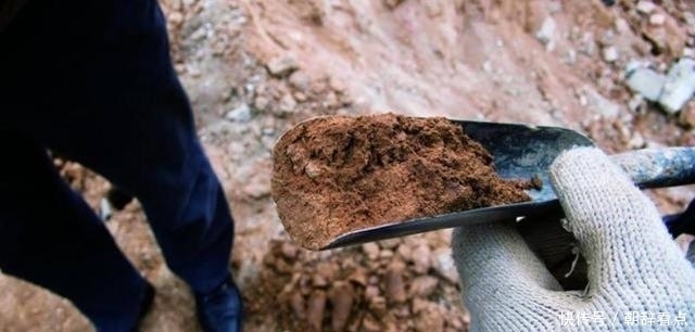  盗墓|他盗墓三十多年，获利五亿多，临死前的一番话毫无悔意！