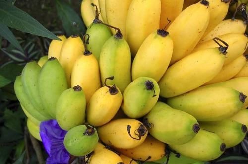 人到中年想长寿，三种食物要多吃，补充营养，