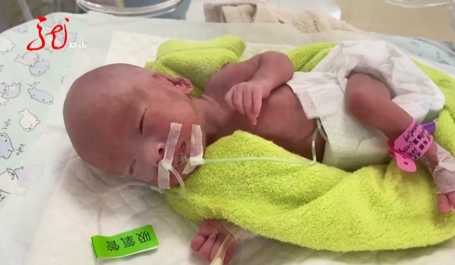 绥棱县|龙凤胎早产，哥哥不足3斤，妹妹890克！孩子父亲落泪：“砸锅卖铁也要救”！