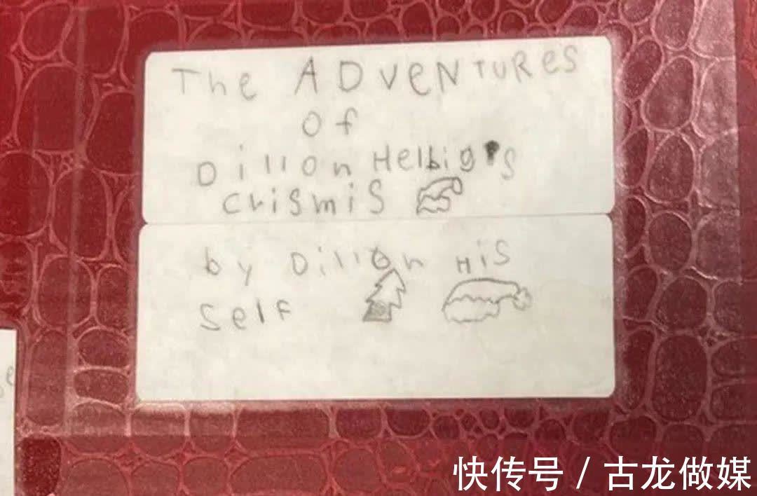 书架$美国八岁男孩作88页插画书,偷藏至图书馆引起百人争相借阅