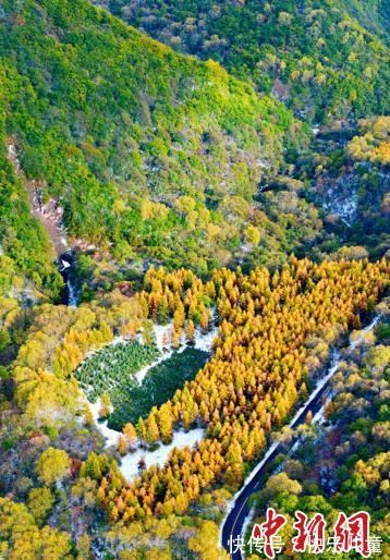 美景|张张壁纸！快来下载属于你的秋雪六盘山美景