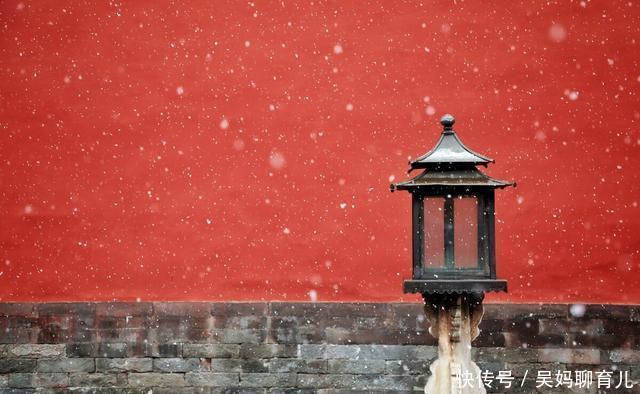 故宫有191只猫，网友争着撸。故宫：别急，还有18只瑞兽