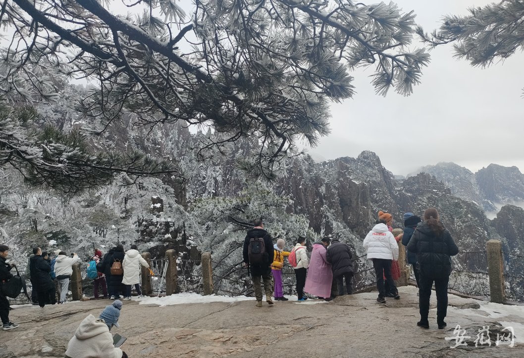 云海|雪后初晴 黄山之巅处处欢声笑语