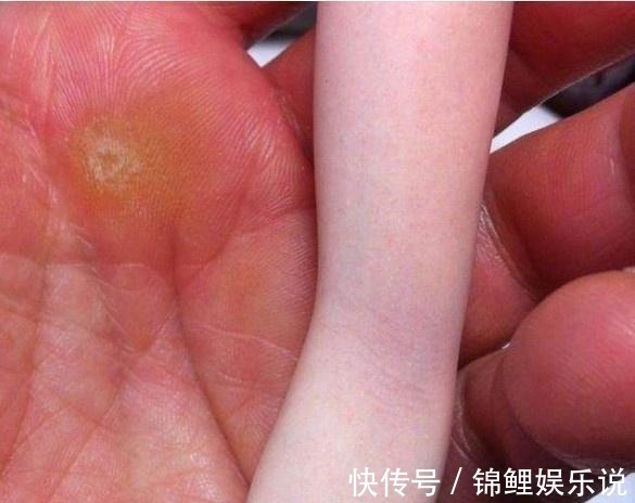 话题|日本手办太逼真,血管都看得见成为话题,大家再看看这个彩鳞如何