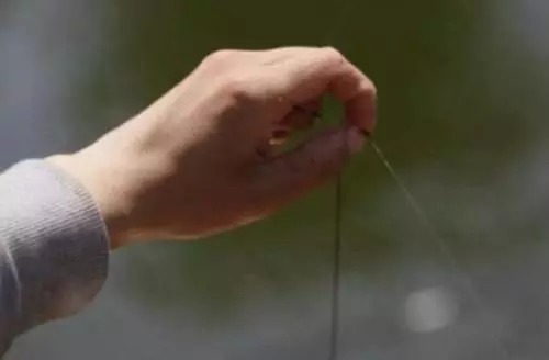 新手不迷茫的用漂攻略,熟练运用这些技巧,冬季的轻口鱼钓几十斤!