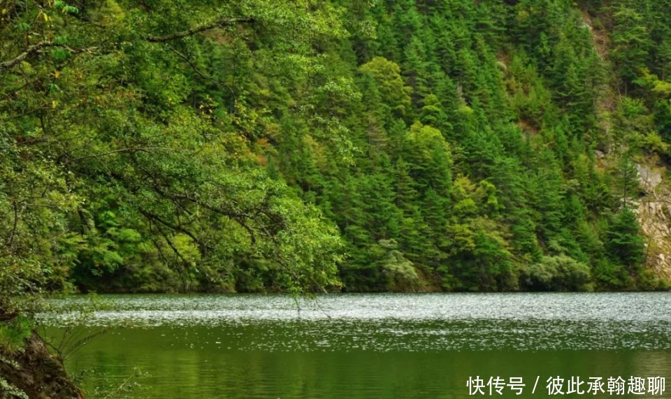 走，去阿坝州高原上看“海”！