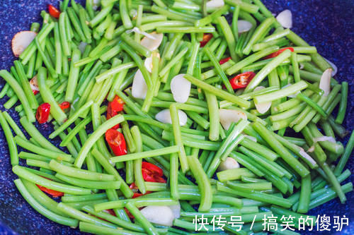 它是菜也是药，我成捆往家买，三天两头吃，视力清晰了，滋养脾胃