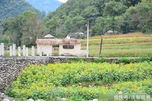 柞水|初夏时节，来柞水感受葱葱绿意~