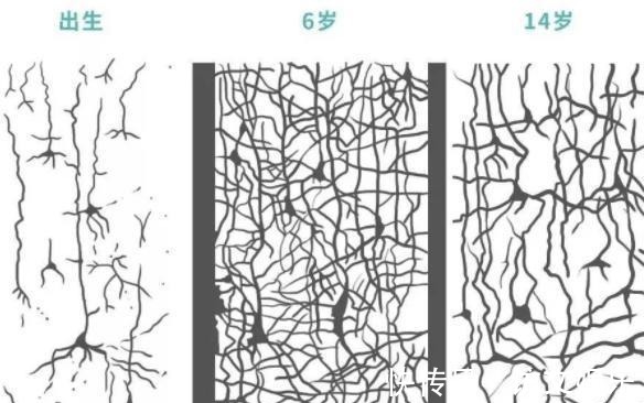 父母|孩子一生，有3次“变聪明”的机会，是有科学依据的，父母要抓住