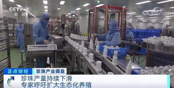 珍珠蚌|“新晋网红”来了,这个产业火了