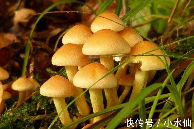 飞翔|近期春暖花开，缠绵悱绵，与真爱携手飞翔，余生念念不忘