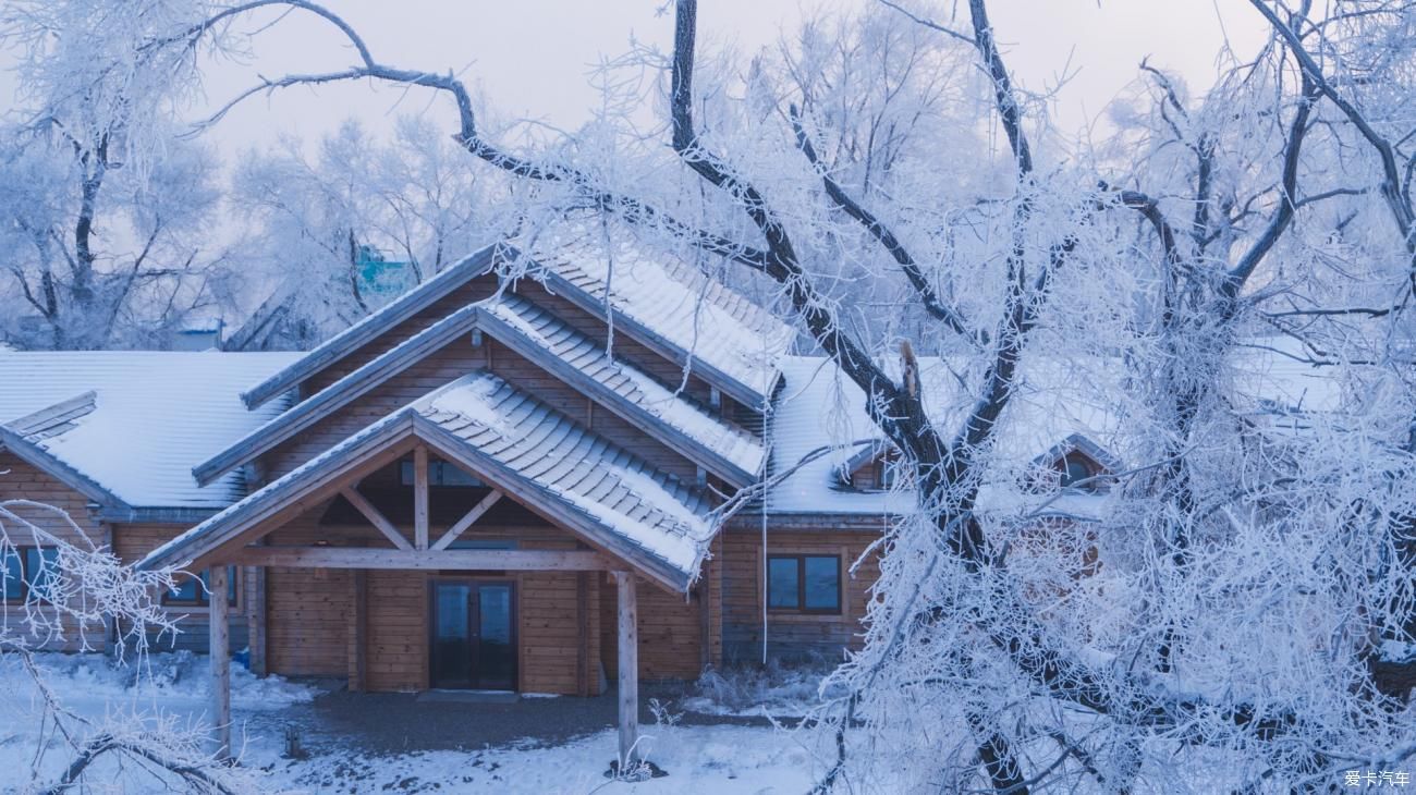 老年|在寂静雪原 遇见雪花真实的形状