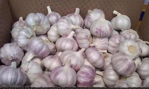  养生|大蒜养生保健效果极佳，但再好的大蒜，2类人不适合食用