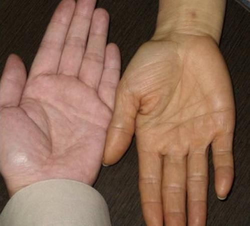 4物|养肝的“黄金期”在早晨？早餐多吃这“4物”，肝脏或可更健康