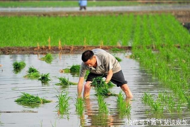 农村俗语“有福之人两腿毛，无福之人毛两腿”，你属于哪种人呢？