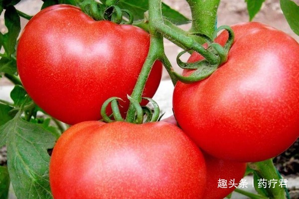 肝癌|多吃西红柿可以预防肝癌新加坡研究了25年,结论出来了