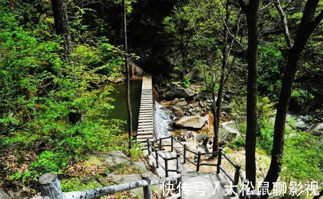 武当山|南阳超小众景区，景色不输武当山，被誉为天然物种宝库