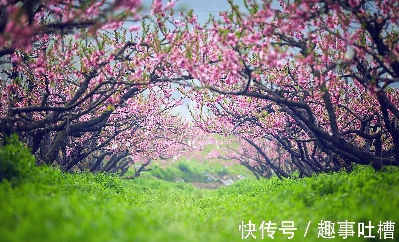 游子#五首菩萨蛮,堪称咏江南春色的罕见之佳作,也被称为宋词奠基之作