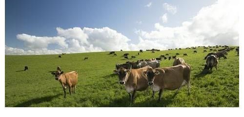 宝宝|一岁宝宝断奶后不吃奶粉,只吃饭营养能跟上吗?