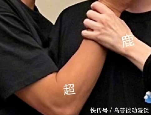 哈哈哈哈哈|邓超鹿晗探病陈赫,晒出三人合照太好笑,这友情也是很是羡慕了