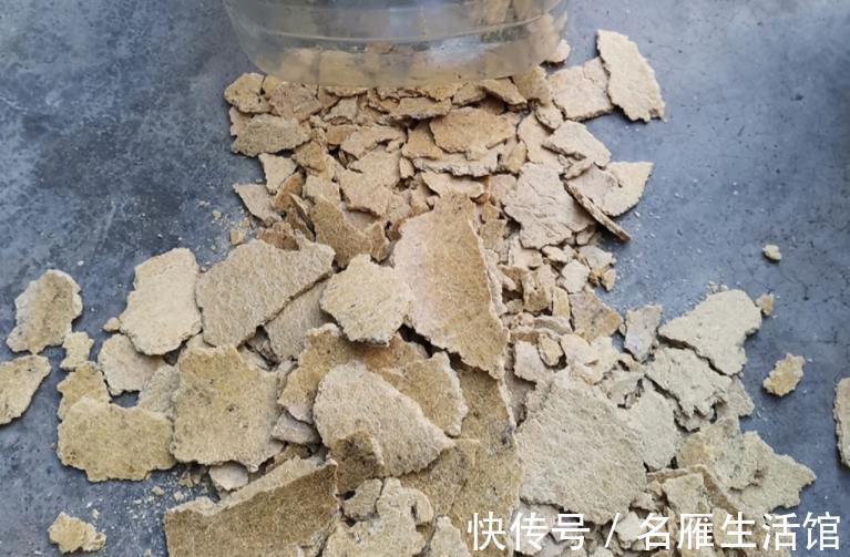 成本|家庭养花，该从哪些途径下手“压缩成本”？