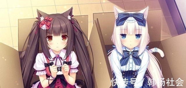 半兽人|想让猫咪变成人变是不可能的,但画师可以将其画出来!