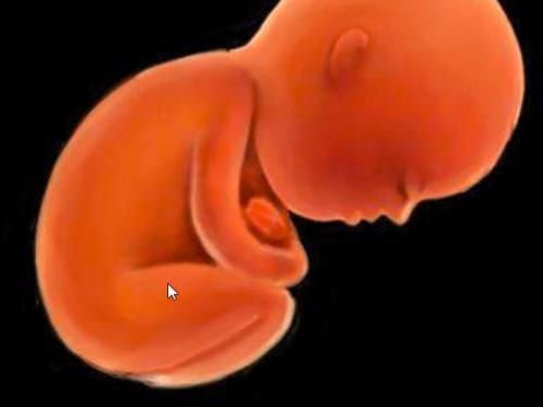 医院|女人流产后,那些胎儿都去了哪里?看完后网友普遍表示:好心疼!