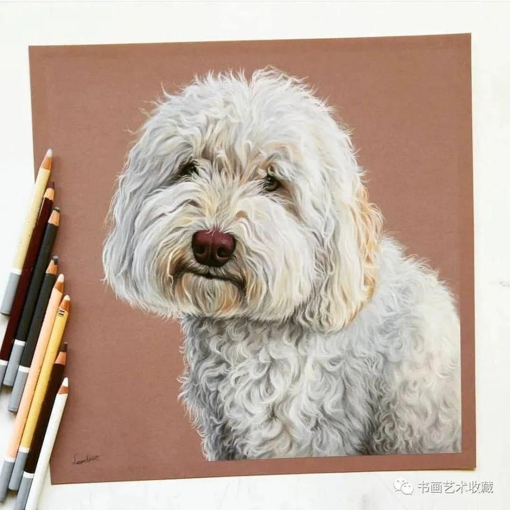  美女|一匹马画了16年！美女学渣逆袭成功，坚持下来很酷！