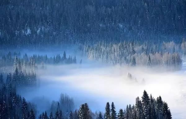 神话里|如果东北的雪景是童话，那北疆的雪景便是神话！