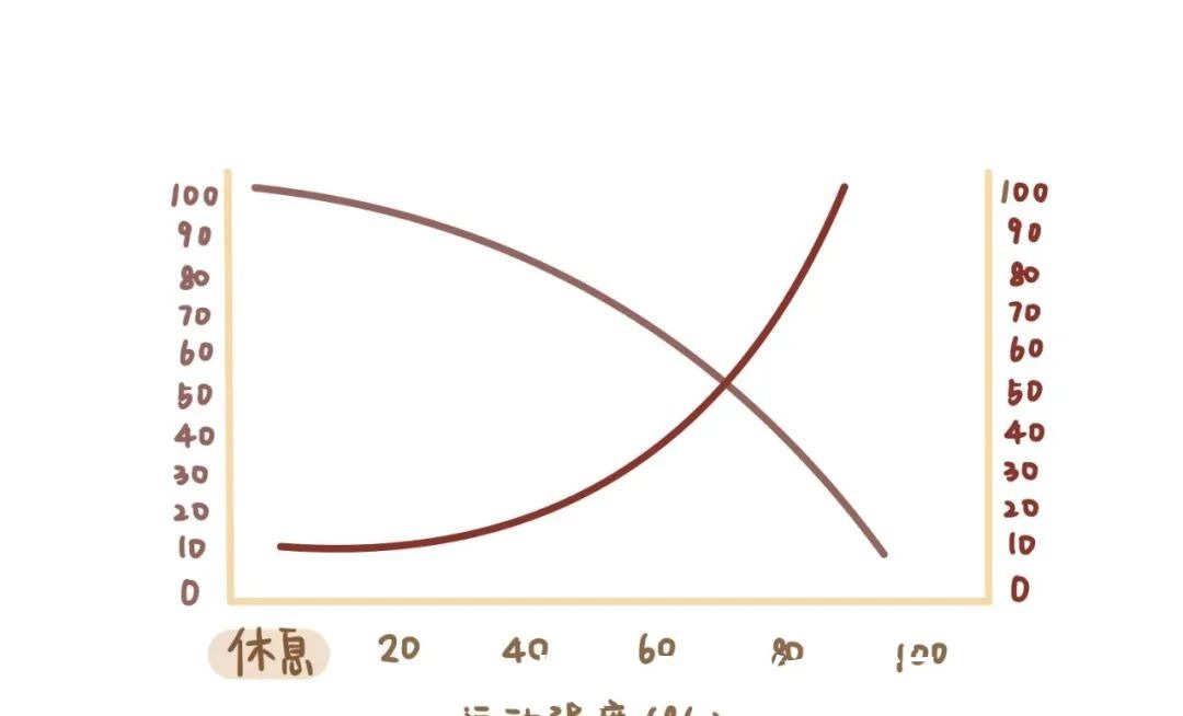 燃脂|冬天跑步最减脂但要这样跑才能无伤,悄悄变瘦