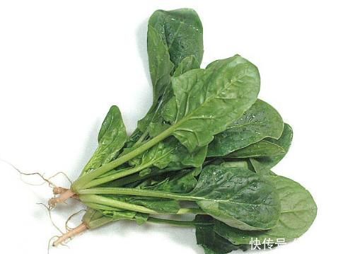 发育|基因不够食物来凑,多给孩子吃4种食物。孩子个头蹿一蹿!