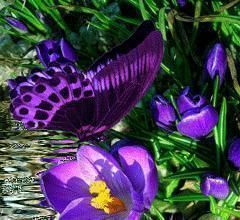 人心&良言20句,见证人心,看透人性看一次胜读十年书