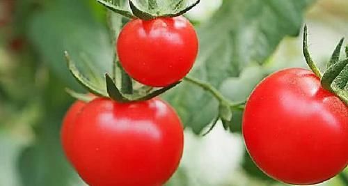 “前列腺炎症”攻略：这些碱性食物，男性早知道，早点吃，早点好