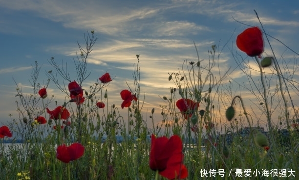 11月18日出生的人爱情