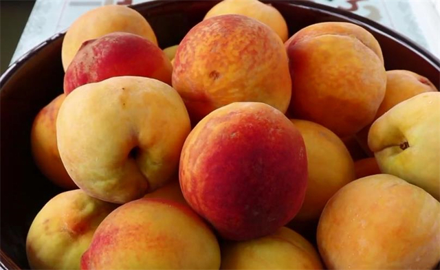 空气体|这才是黄桃罐头正确的做法,果肉香甜爽口有技巧,放一年不会坏