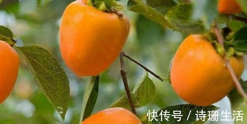 调养|人到中年想长寿,不妨多吃3种食物,调养脾胃、安神健脑