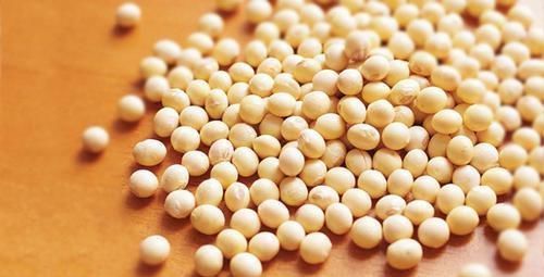 蛋白质|8岁女孩1年长高10厘米,儿科医生:饮食习惯很不错,值得学习