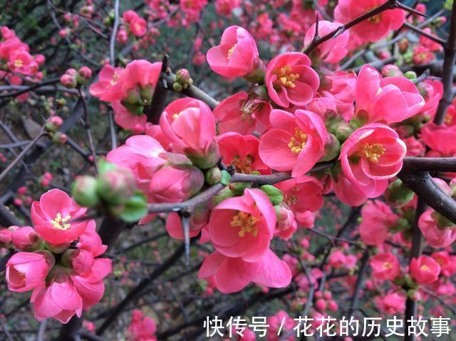 一炷香#富小姐对联招亲,穷秀才对答如流,成功抱得美人归