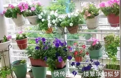 三口之家|原来阳台可以这样晒衣服, 学会这几招, 超实用!