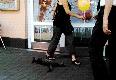 |搞笑GIF:长点心吧 对面住的可都是单身汉啊