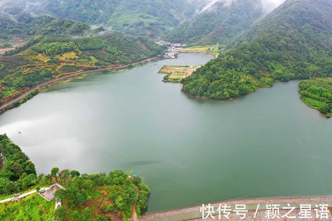 湖光山色|奉化状元岙，湖光山色，千年古樟到底谁是树王