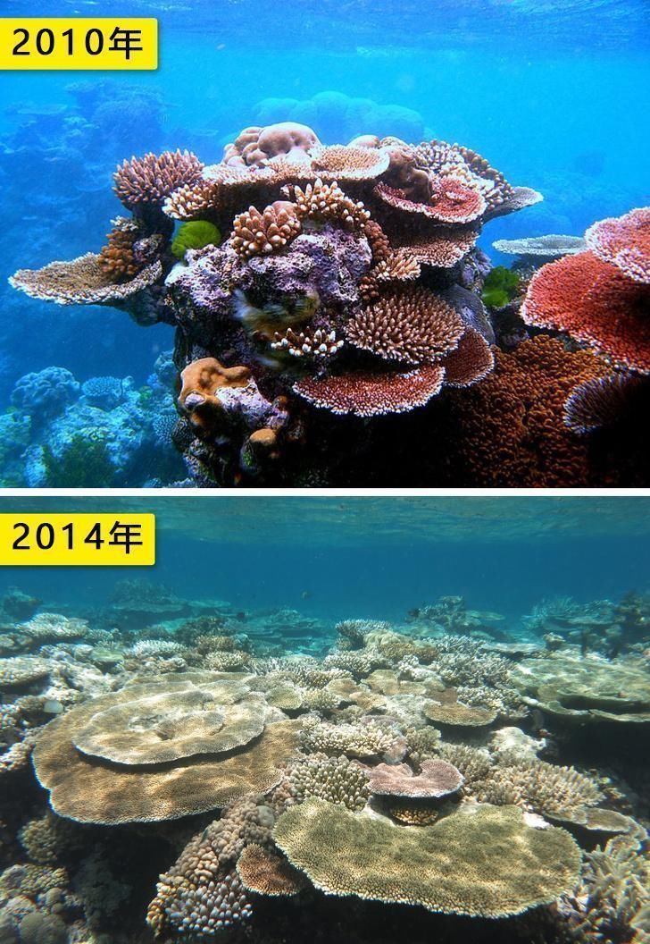 莫莱 11组对比图告诉你 人类干预后对地球造成的非凡变化