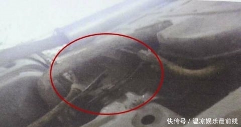 净身|男子离婚净身出户,见到前妻现任后…崩溃了