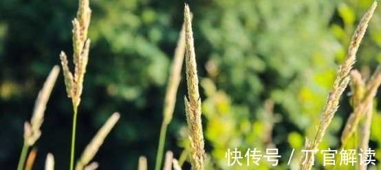 月老|7天后，桃花朵朵，争奇斗艳，月老送喜，天赐姻缘，一定会幸福