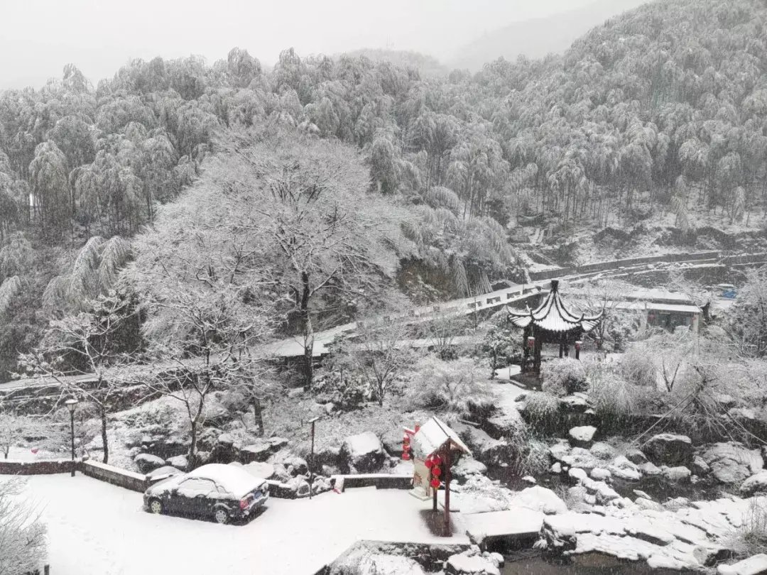 积雪|上班第一天，余杭多地银装素裹