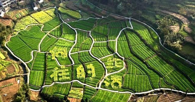 事情|《向往》第四季,最担心的事情还是发生了,突然想起刘宪华的话