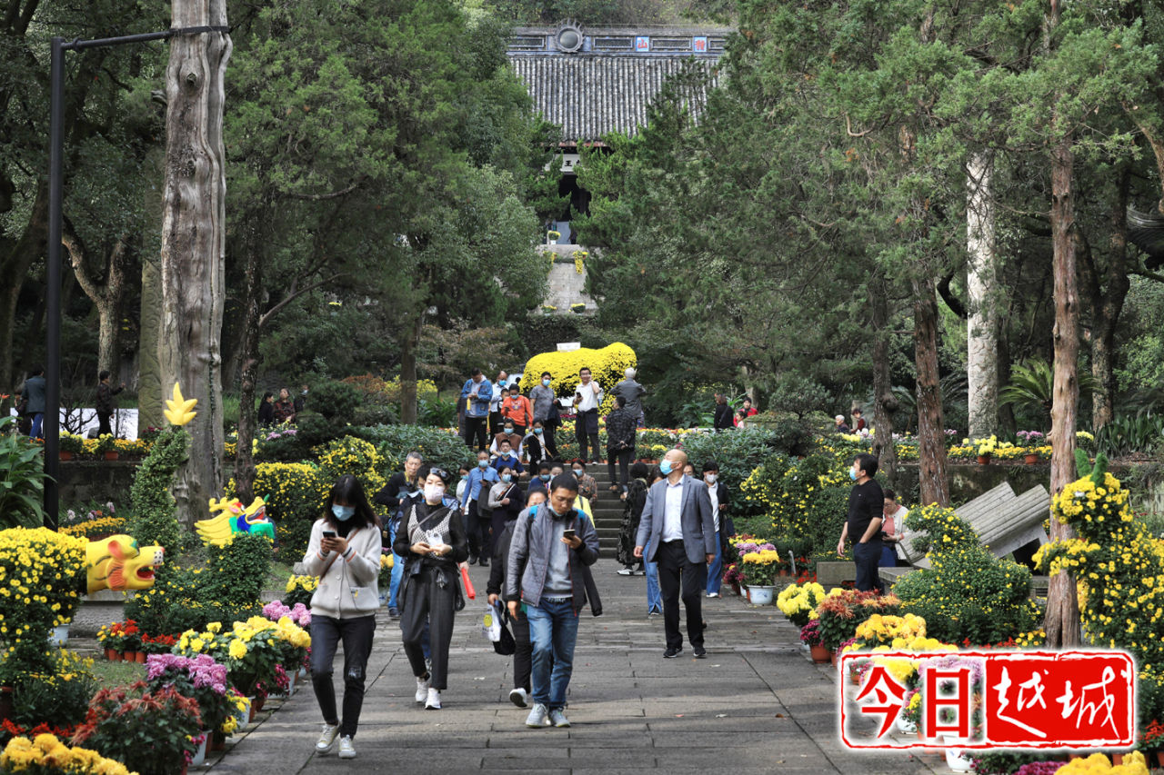 绍兴|古城绍兴：府山赏菊正当时