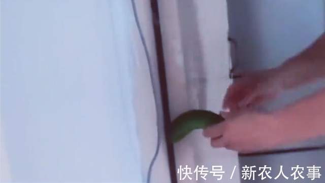 小女孩|山东一奶奶火了,小孙女贪玩屡教不改,一个神操作立刻解决