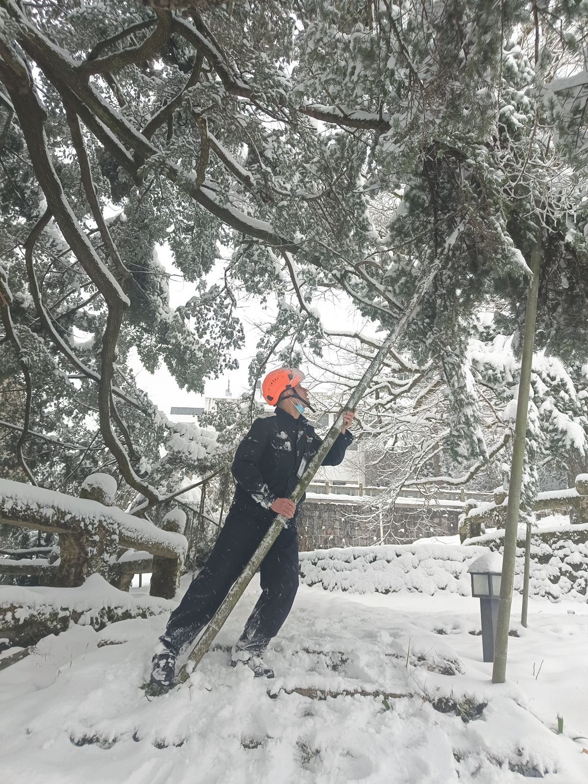 赏雪|黄山雪深18厘米 大年初三近8000人上山看雪景